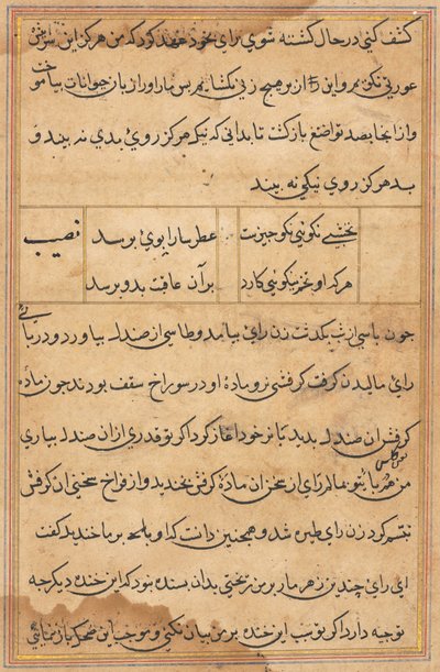 Seite aus Geschichten eines Papageis (Tuti-nama): Textseite von Unknown artist