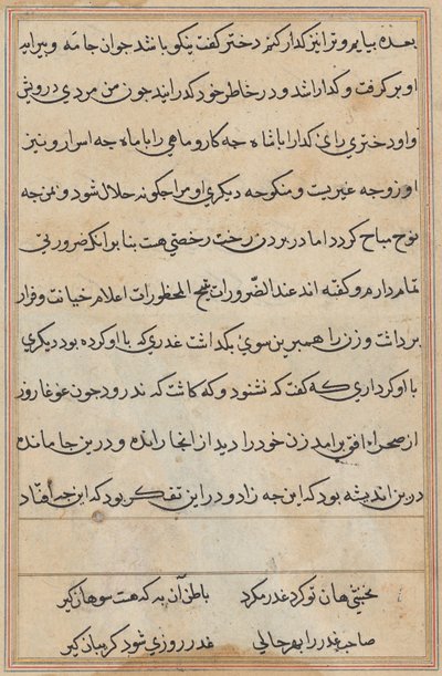 Seite aus Geschichten eines Papageis (Tuti-nama): Textseite von Unknown artist