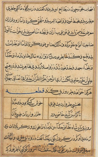 Seite aus Geschichten eines Papageis (Tuti-nama): Textseite von Unknown artist