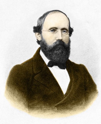 Porträt von Bernhard Riemann (1826-1866), deutscher Mathematiker von Unknown artist
