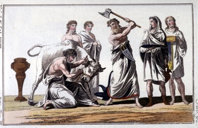 Opferung eines Stiers bei den Kelten. Gravur des 19. Jahrhunderts. von Unknown artist