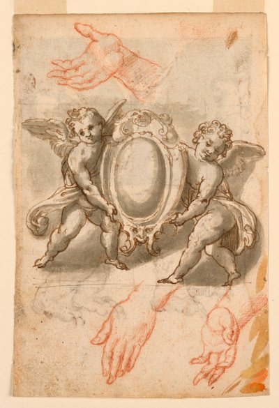 Studien von Händen und Putti mit einem Wappenschild von Unknown artist