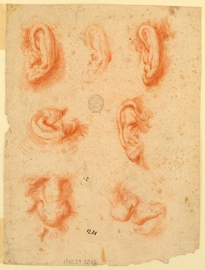 Studien von fünf Ohren, Nasen und einem Mund von Unknown artist