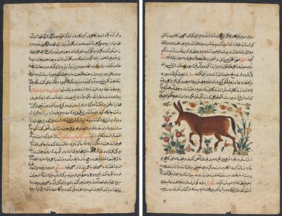 Textseite, persische Prosa (Recto); Khar (Esel) (Verso) von Unknown artist