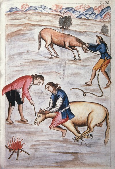 Das rote Eisenbrandzeichen einer Stute, aus dem Buch "Trujillo del Peru" oder "Códice Martínez Compañón", von Baltazar Martinez Compañón y Bujanda, Bischof von Trujillo (1782-1785) von Unknown artist