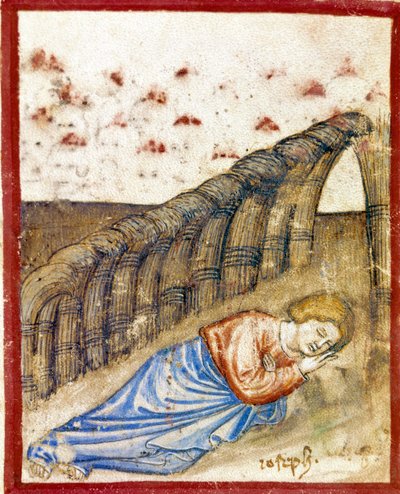 Die Vision von Joseph, Sohn von Jakob Miniatur aus Codex 212 (oder Padovano Codice oder Bibel von Padua) 1390-1400 Rovigo, Accademia dei Concordi von Unknown artist