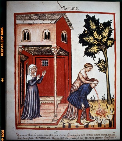 Medizinisches Traktat „Tacuinum sanitatis“ des 14. Jahrhunderts: Erbrechen. B.N, Wien von Unknown artist