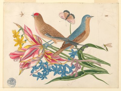 Zwei Vögel auf einem Tulpenzweig mit Insekten von Unknown artist