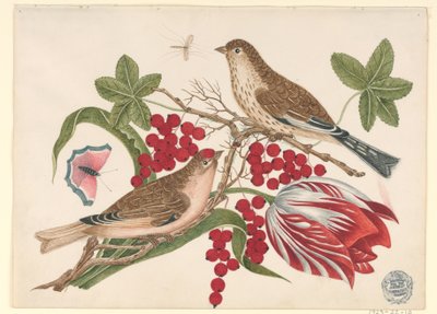 Zwei braune Vögel auf einem Ast mit Tulpe, Beeren und Insekten von Unknown artist