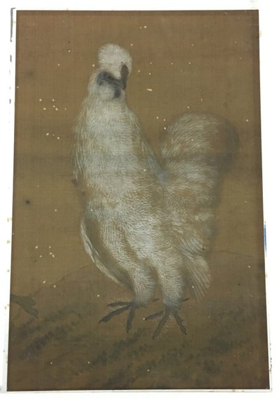 Weißer Hahn von Unknown artist