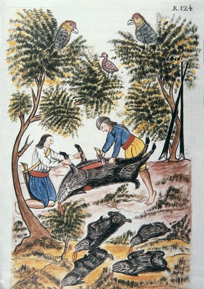 Junge Indianer Motilones schlachten ein Wildschwein, aus dem Buch "Trujillo del Peru" oder "Códice Martínez Compañón", von Baltazar Martinez Compañón y Bujanda, Bischof von Trujillo (1782-1785) von Unknown artist