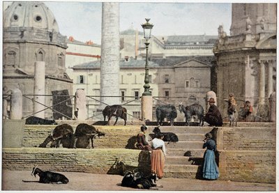 Antikes Rom: Blick auf das Forum Romanum. Italien, späte 19. Jahrhundert. von Unknown photographer