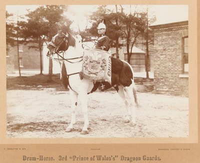 Trommelpferd, 3. Dragonerwache des Prinzen von Wales, um 1895 von Unknown photographer