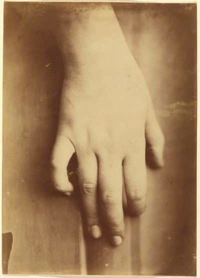 Studie einer Hand, 1865 von Unknown photographer