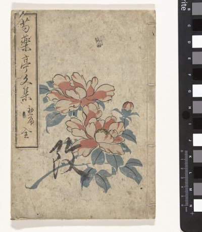 Anthologie der Pfingstrosen von Utagawa (school of)