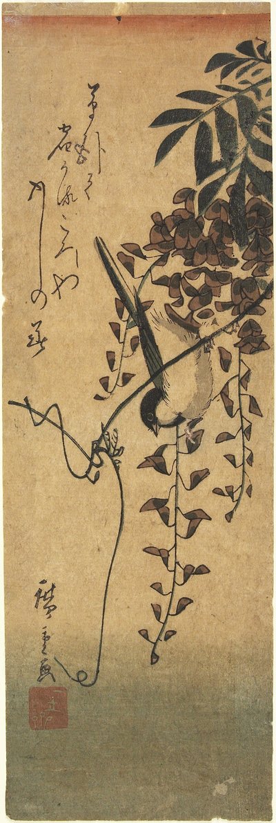 Vogel auf einem Glyzinienzweig von Utagawa Hiroshige