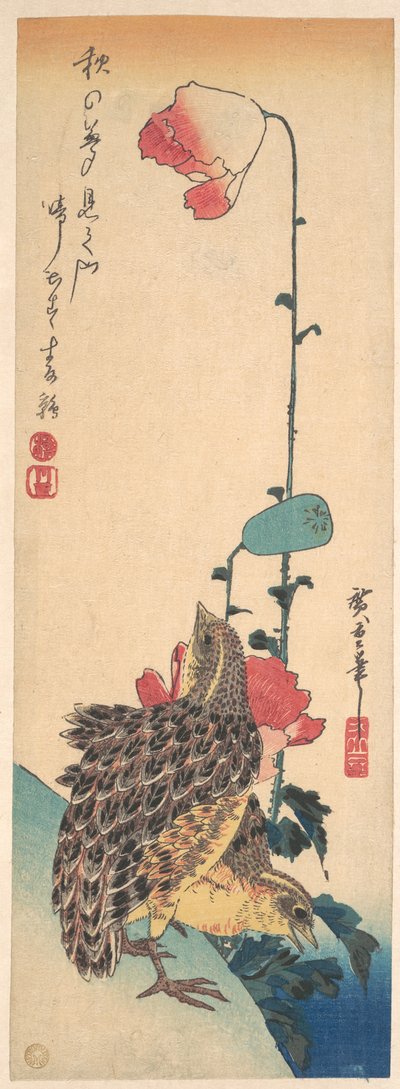 Ein Paar Wachteln und Mohnblumen von Utagawa Hiroshige