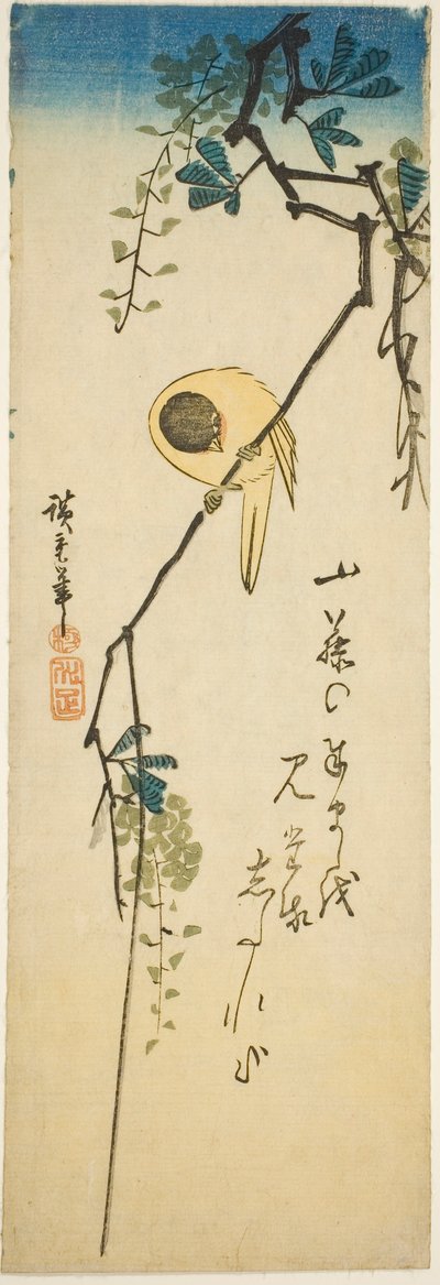 Vogel auf seidiger Glyzinie von Utagawa Hiroshige