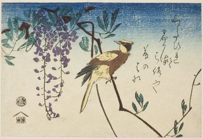 Schwarzgenickpirol und Glyzinie von Utagawa Hiroshige