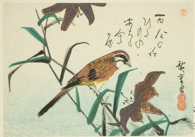 Ammer und Lilien von Utagawa Hiroshige