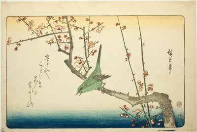 Buschsänger auf Pflaumenzweig von Utagawa Hiroshige