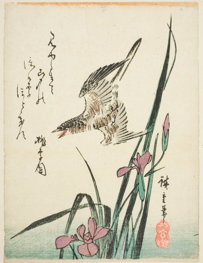 Kuckuck fliegt über Iris von Utagawa Hiroshige