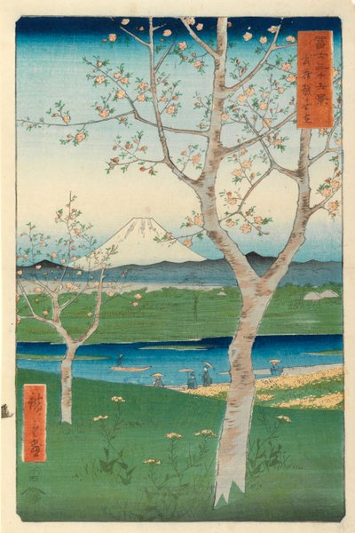 Fuji von Koshigaya, Mushashi, Nr. 14 aus der Serie 