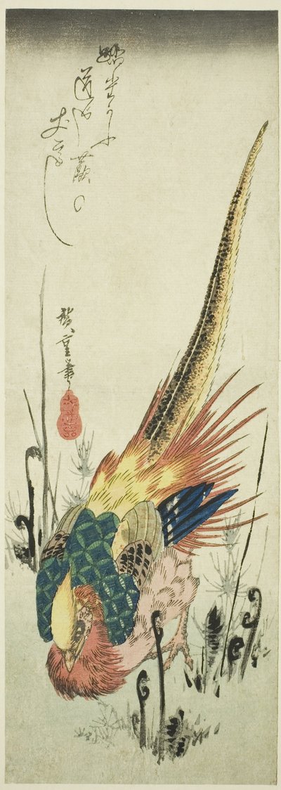 Goldfasan und Adlerfarn von Utagawa Hiroshige