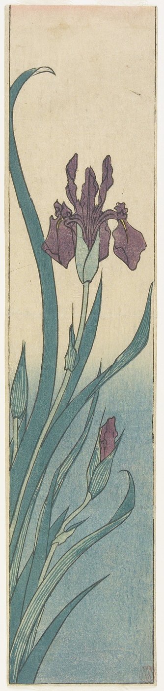Iris, frühes 19. Jahrhundert von Utagawa Hiroshige