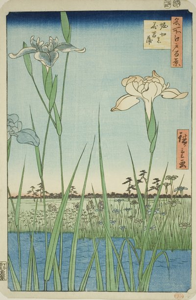 Schwertlilien in Horikiri (Horikiri no hanashobu), aus der Serie "Hundert berühmte Ansichten von Edo (Meisho Edo hyakkei)" von Utagawa Hiroshige