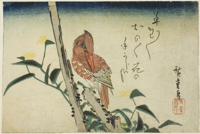Eisvogel und Tagblume von Utagawa Hiroshige