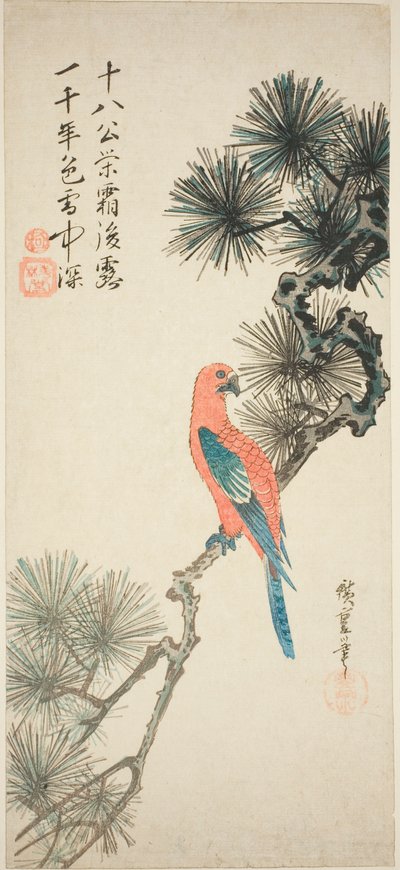 Ara auf einem Kiefernzweig von Utagawa Hiroshige