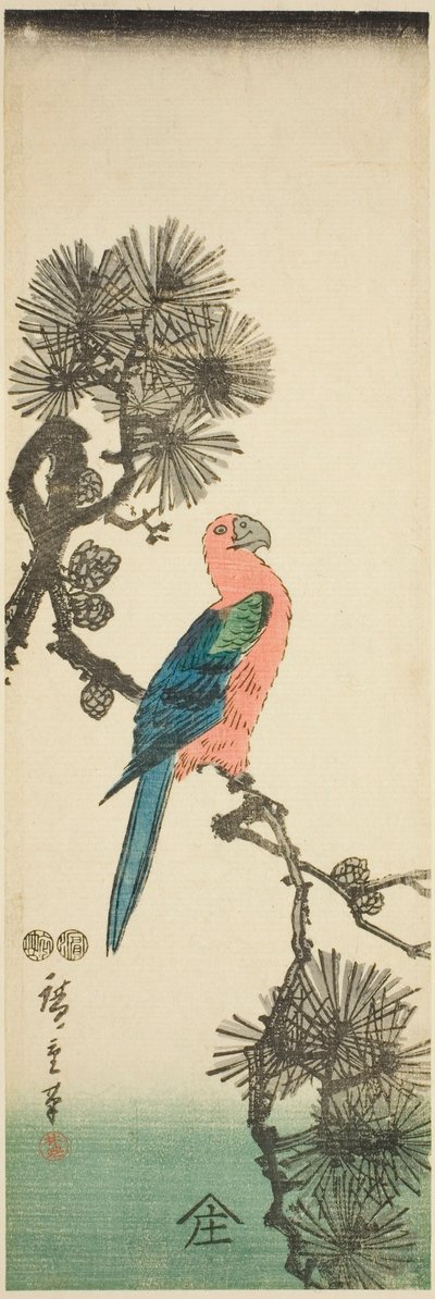 Ara auf Kieferzweig von Utagawa Hiroshige