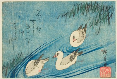 Austernfischer von Utagawa Hiroshige