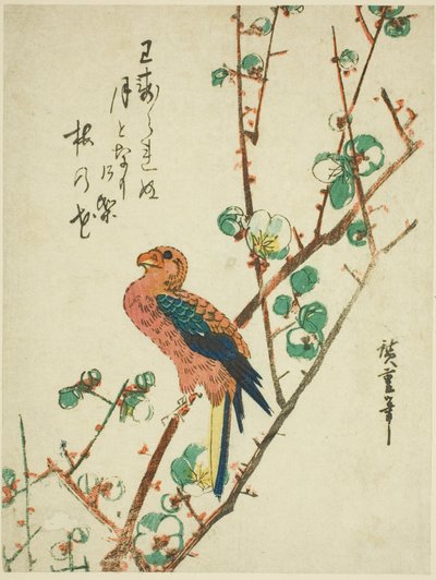 Papagei auf Pflaumenbaum von Utagawa Hiroshige