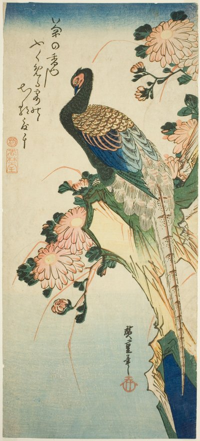 Fasan und Chrysanthemen von Utagawa Hiroshige
