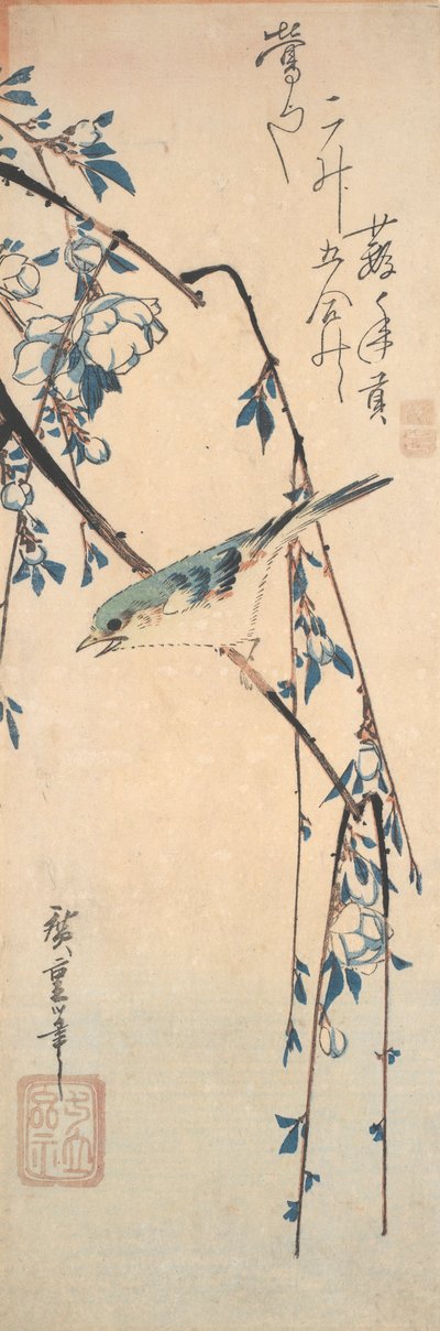 Rotflanken-Blauschwanz auf einem Kirschzweig von Utagawa Hiroshige