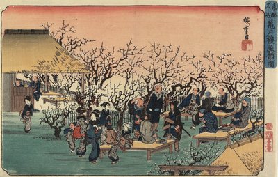 Ansicht des Pflaumengartens in Kameido, 1832-1834 von Utagawa Hiroshige