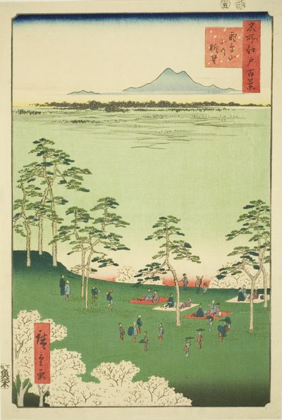 Blick nach Norden vom Asuka-Hügel, aus der Serie "Hundert berühmte Ansichten von Edo" von Utagawa Hiroshige