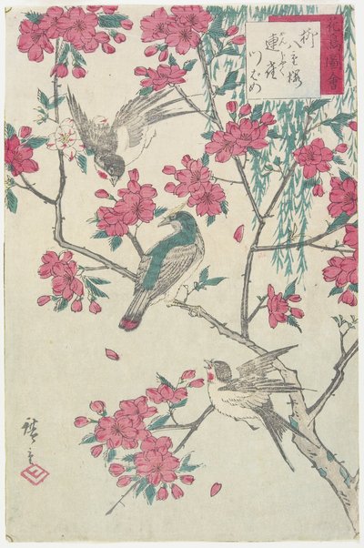 Weide, Kirschblüten, Spatzen und Schwalbe, frühes 19. Jahrhundert von Utagawa Hiroshige
