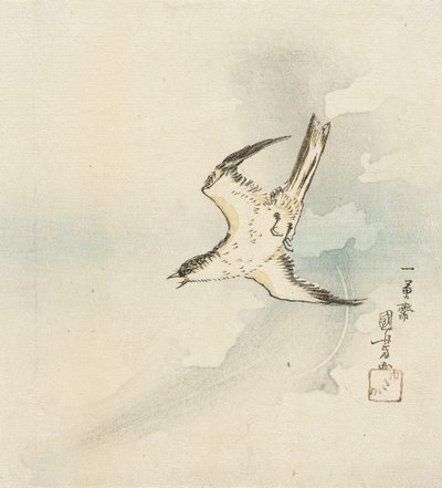 Japanischer Kuckuck von Utagawa Kuniyoshi