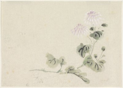 Lila-weiße Chrysanthemen von Utagawa Kuniyoshi