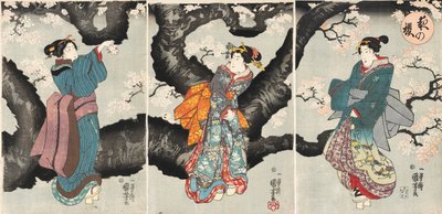 Yoru no sakura [Kirschblüten bei Nacht], ca. 1846 von Utagawa Kuniyoshi