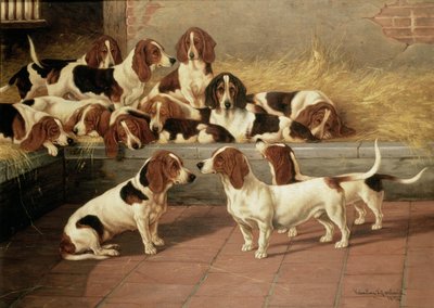 Basset-Hunde in einem Zwinger, 1894 von Valentine Thomas Garland