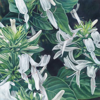 Elegante weiße Blumen von Viccy Wanliss