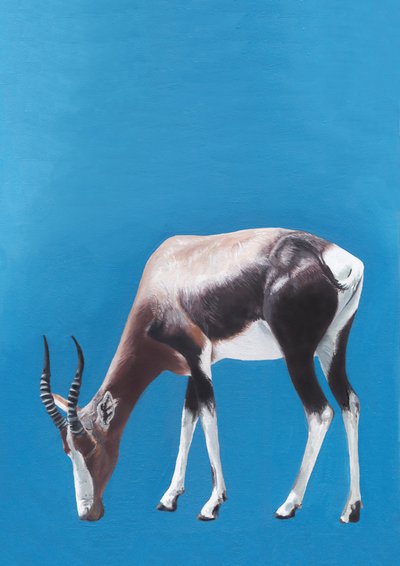 Weidende Blesbok-Antilope von Viccy Wanliss