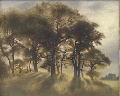 In der Nähe von Fortunen, Jægersborg Dyrehave, nördlich von Kopenhagen von Vilhelm Hammershøi