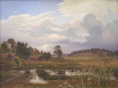 Landschaft nahe dem Wald Nordskoven, Jægerspris, Seeland von Vilhelm Kyhn