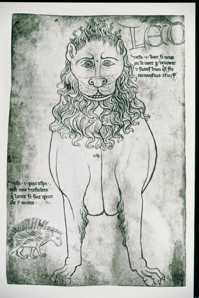 Löwe und Stachelschwein (Faksimile) von Villard de Honnecourt