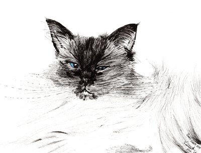 Schläfriges Auge, 2015 von Vincent Alexander Booth
